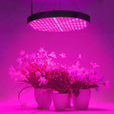 HYD-Parts 50W LED Plant Grow Lights, Shengsite UFO 250 LEDs Indoor Plants Growing Lamp with Red Blue Spectrum,Hydroponics Growth Light for Seedling,Vegetative&Flowering